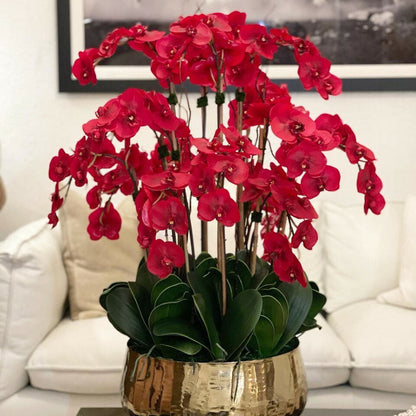 Rote Phalaenopsis-Orchideen im mittleren goldfarbenen Topf