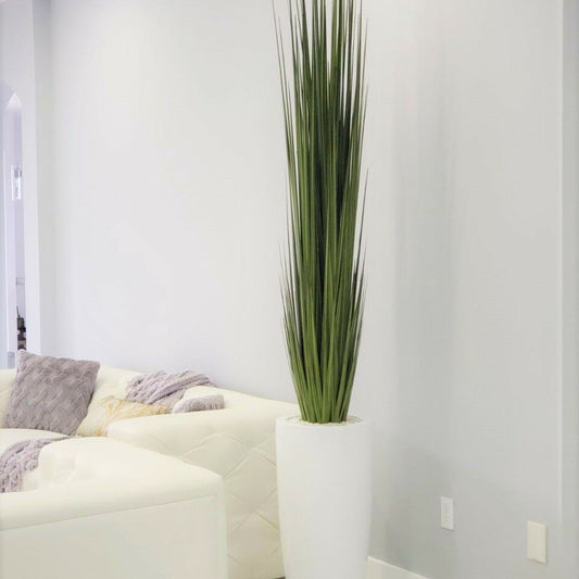 Dax Vase (Größe L) mit Schilfgras