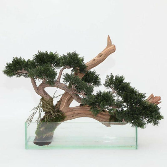 Künstlicher Kriech-Wacholder-Bonsai im Glastopf