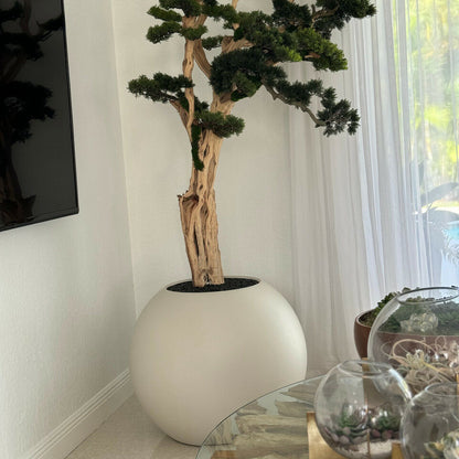 Bonsai-Baum in globusförmigem Pflanzgefäß – 180 cm, Satin-Beige