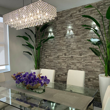 2,1 m Paradiesvogelpflanze mit Dax L Topf