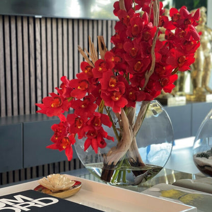 Rote Cymbidium-Orchideen im Moon-Pflanzgefäß